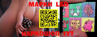 индика Лесосибирск