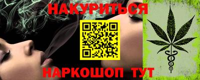 индика Лесосибирск