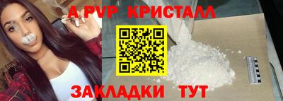 индика Лесосибирск