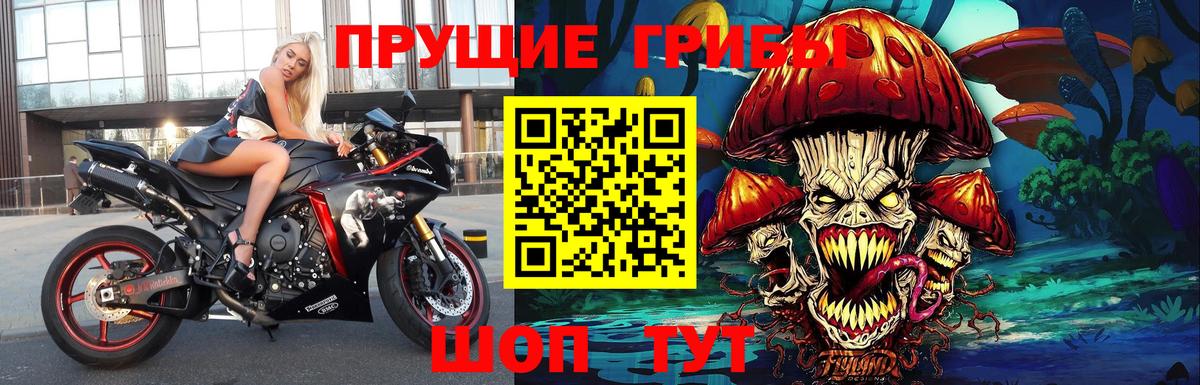 Галлюциногенные грибы GOLDEN TEACHER  Вход с VPN  Каменск-Шахтинский 